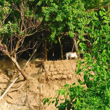 Bianca Su Corso Italia