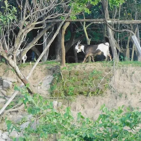 Bianca Su Corso Italia *